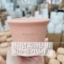 신난다다육