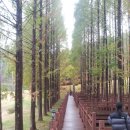 그랜드팜 이미지