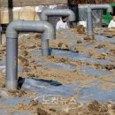 배양1리 이미지