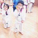 참사람태권도 이미지