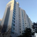 수지예치과의원 Daum카페