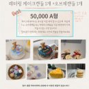 샤인플랜트 네이버블로그