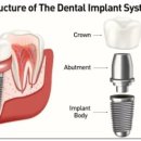 치과다운 치과의원 이미지
