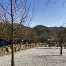수원산오토캠핑장 이미지