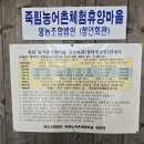 죽림하금마을회관 | 진도 가성비숙소, 죽림 가성비 숙소 진도 갯벌체험 숙소 청연회관 펜션