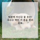 홍제약국 이미지