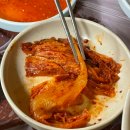 광주 금호동 옻닭,닭볶음탕 맛집 시골농장에 가다 ~