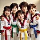 팰리스 태권도장 이미지