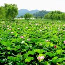 사평대로57길 130 이미지