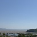 서울근교 가족캠핑 추천 뷰 좋은 강화도 오션포레스트 오토 캠핑장 후기