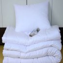 한이침장 이미지