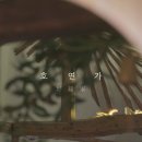 콜라니티다 이미지