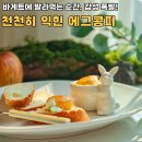 홈 브런치 만들기 | 엑스트라버진 올리브오일 요리 계란 스프레드 홈브런치 메뉴 콩피 만들기