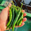 파주초등학교 이미지