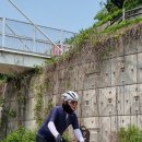 하오 이미지