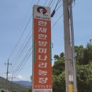 청정미나리영농조합 이미지