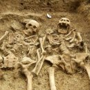 (주)두손 이미지