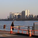 유튜버 입문과정(하) | 입문용 미러리스의 카메라, 캐논 Canon EOS R50 한 달 사용 후기 (가성비 &amp; 브이로그)