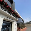 시노안 | 융건릉 화성카페 시노퍼 꼼꼼후기