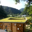 곰배누리 이미지