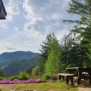 람쥐야 도토리 이미지