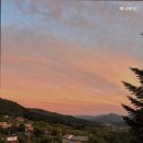 베니베럼 이미지