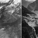 바이온트 이미지