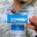 주식회사 국개대표 이미지