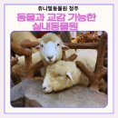 쥬니멀 | 청주 실내 데이트 추천 쥬니멀동물원 후기 ㅣ아이랑 가기 좋은 청주가볼만한곳 청주동물원 체험