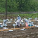 내동면시민텃밭 이미지