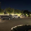 미운오리 이미지