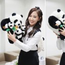 애니멀즈 이미지