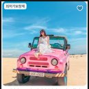 스타인목장 이미지