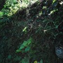 푸르담농장 이미지