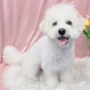 성남대로43번길 이미지