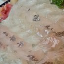 쌍용자동차 행신서비스프라자 | 행신 맛집 '항구동' 쫄깃한 회는 훌륭했지만 재방문은 글쎄