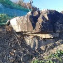 상석 농장 이미지