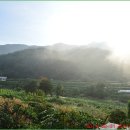 빛이 있으라 이미지