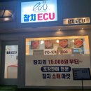 참치ECU두정
