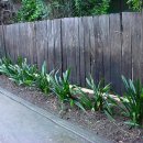 쟈스민2 이미지