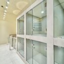 미미애견 이미지