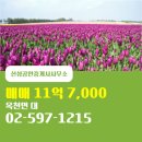 대지공인중개사사무소 | 옥천면 매매 11억 7,000 - 신성공인중개사사무소