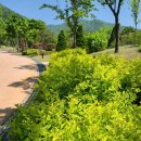 양평쉬자파크 이미지