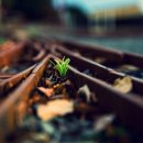 제일자동차뱅크 이미지