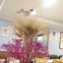 무주 해바라기 펜션 호스텔 이미지