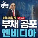 타겟월드 이미지