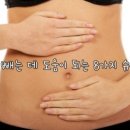 도움