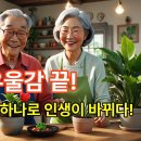 백세시대 이미지