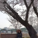 울산역세권공인중개사사무소 이미지