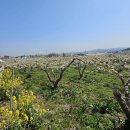 동민목장 이미지